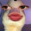 zagytaa