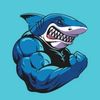 muscleshark4