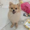 jaanu_2210