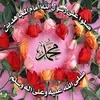 user8081459781142