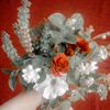 shahd.hesham159