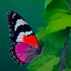 user444__09