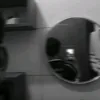 marcelofilho1154