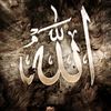 user4922148453735
