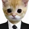 kansanbsjxbvvh