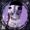 bibisealqueen