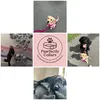 pawfectly_collars