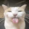 pedrooo.xyz