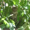 sofia.gattalibero.it