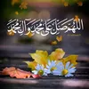 .zainap60