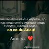 user3541661768302