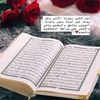 mahmoud.kouidri5
