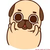 akyllium.mops7588