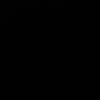 l_rsi11