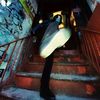 backburnersigma_