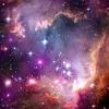 julie_444719