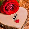 user9534738162511
