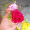 ozzalhossain0