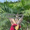 arull_95