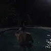 jeffersonfelipe464