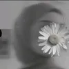 hiddhid.hhn