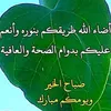 zahraali3248