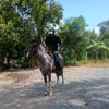nelsoncontreras553