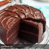 mdshahinalomshahin38