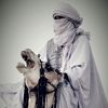 _mahmoud.ismail_