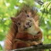 windydays17