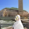 zinemaroc2
