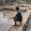 yanasury4