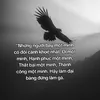 tu.huan_y119