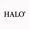 halo2024.h