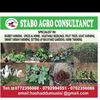 staboagroconsultancy