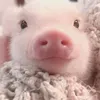 nhuy_yurri711