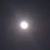lubnanaveed15