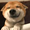 robbijetlag
