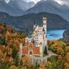 amazing world