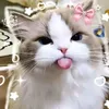 chrisltian513
