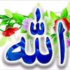 ahmed0170md