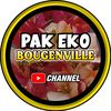 PAK EKO BOUGENVILLE