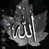 user1637829505593