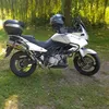 suzukimoci