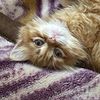 yara.mahfouz8