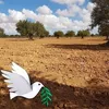 mohamedkerouia352