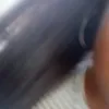 aylenlamas973