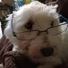 marcoh756