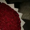 novalayl2