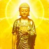 huynhduc4640